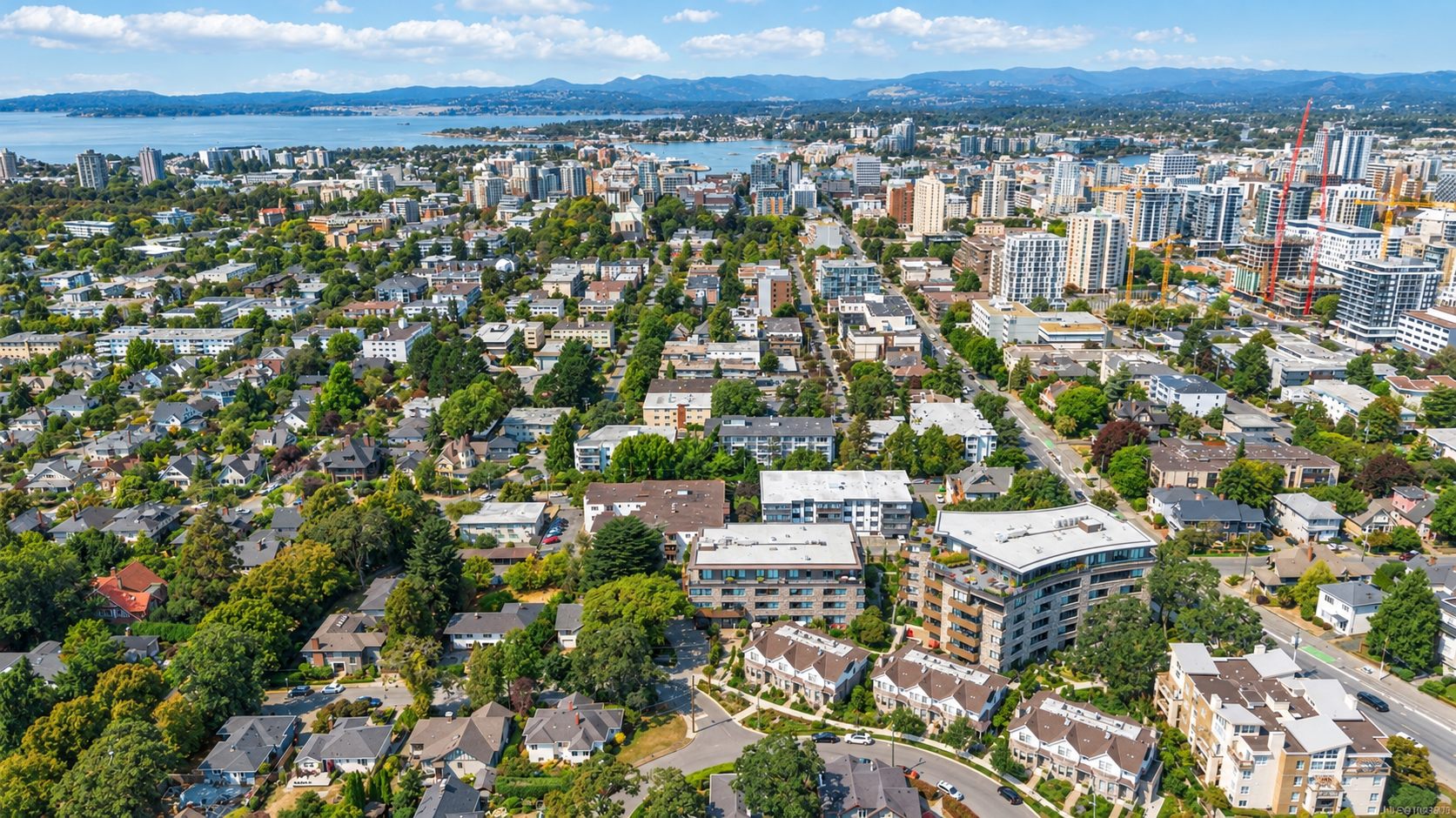 Aerial view of a Greater Victoria neighbourhood