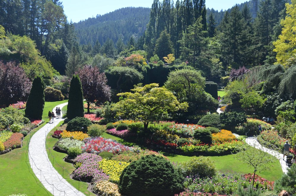 Panoramic view of the colorful and well-maintained Butchart Gardens, a sunny day enhances the natural beauty